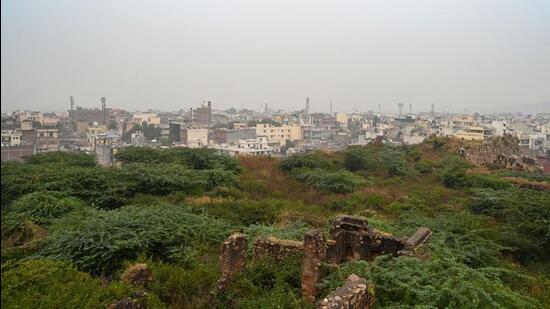 The southern ridge in Delhi. (HT Archive)