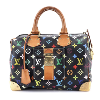 Speedy Handbag Monogram Multicolor 30