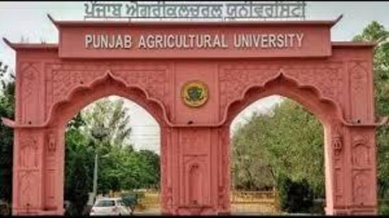 The chief guest Satbir Singh Gosal, vice-chancellor, PAU, in his introductory remarks, highlighted the potential of green ammonia to significantly reduce carbon emissions and support climate-smart agriculture. (HT File)