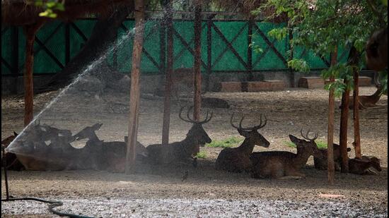 For visitors, the zoo is focusing on a combination of information and entertainment. (FILE)