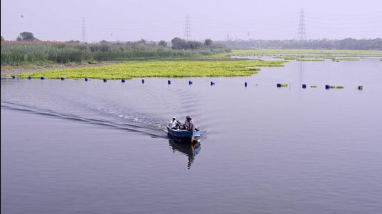 The Yamuna in Wazirabad. (Sanjeev Verma/HT Photo)