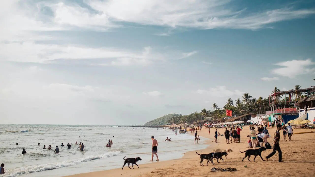 Goa