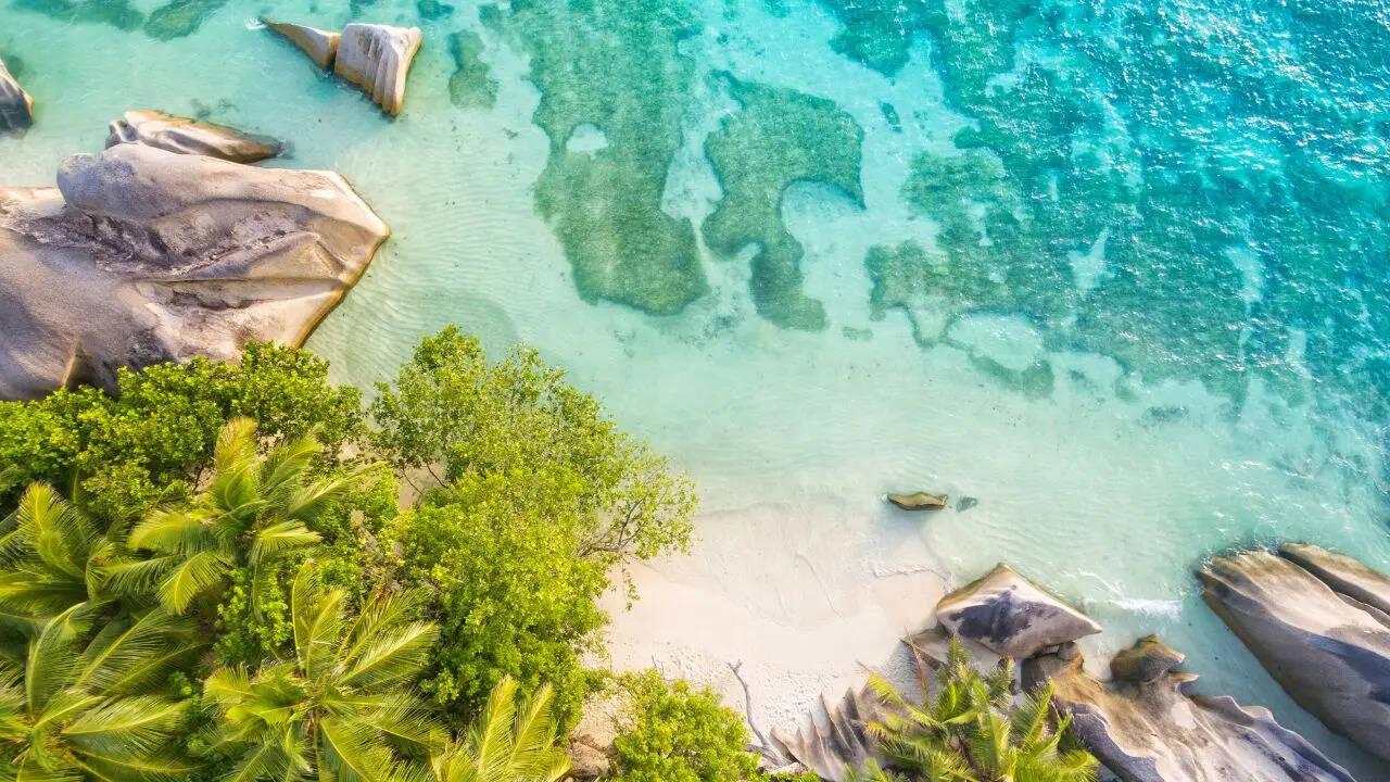 Seychelles recorded the sharpest rise with a 115 per cent increase in travel insurance purchases in 2025