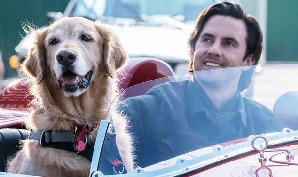 Parker and Milo Ventimiglia
