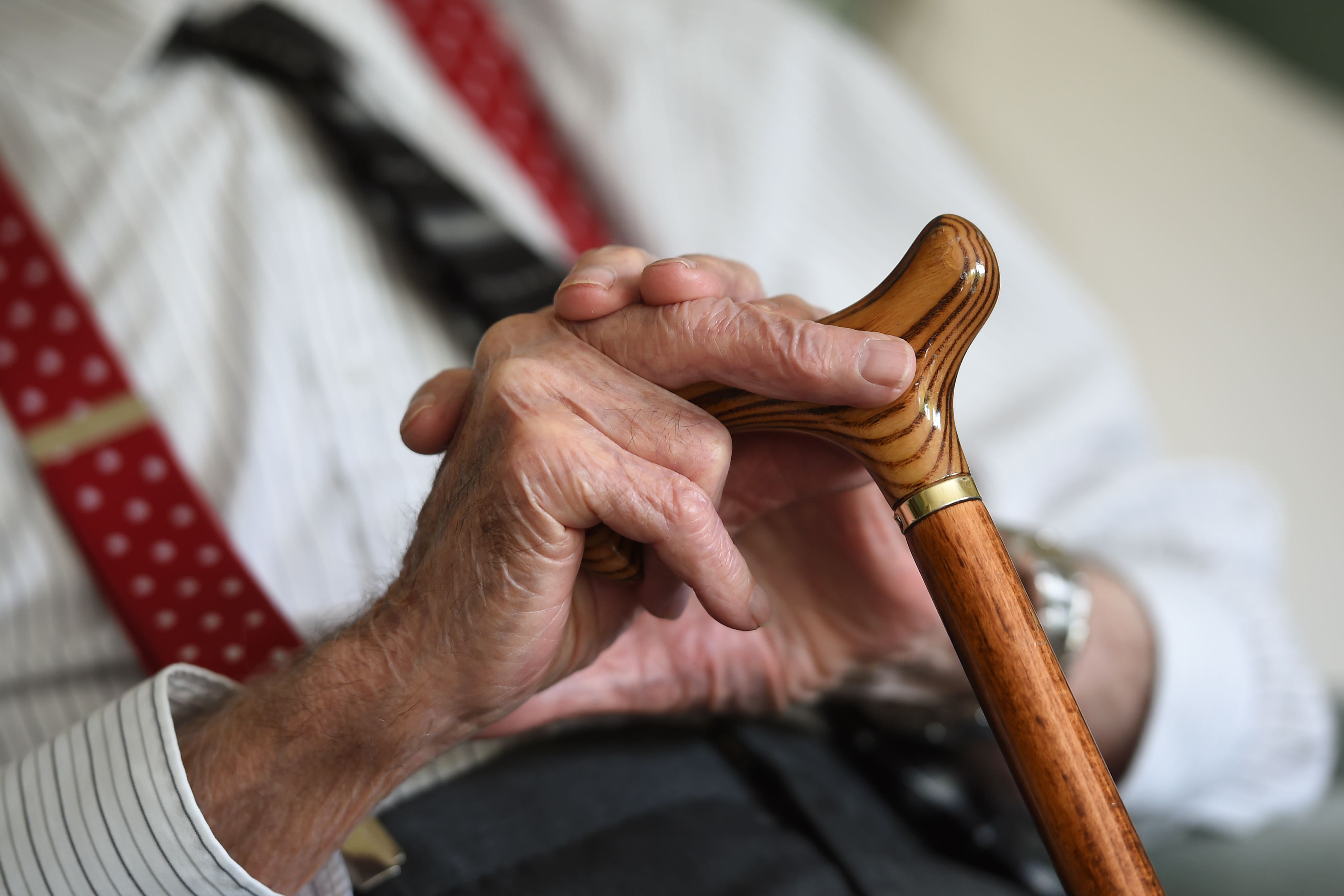 Experts believe the findings could contribute to the development of new treatments for Alzheimer’s disease