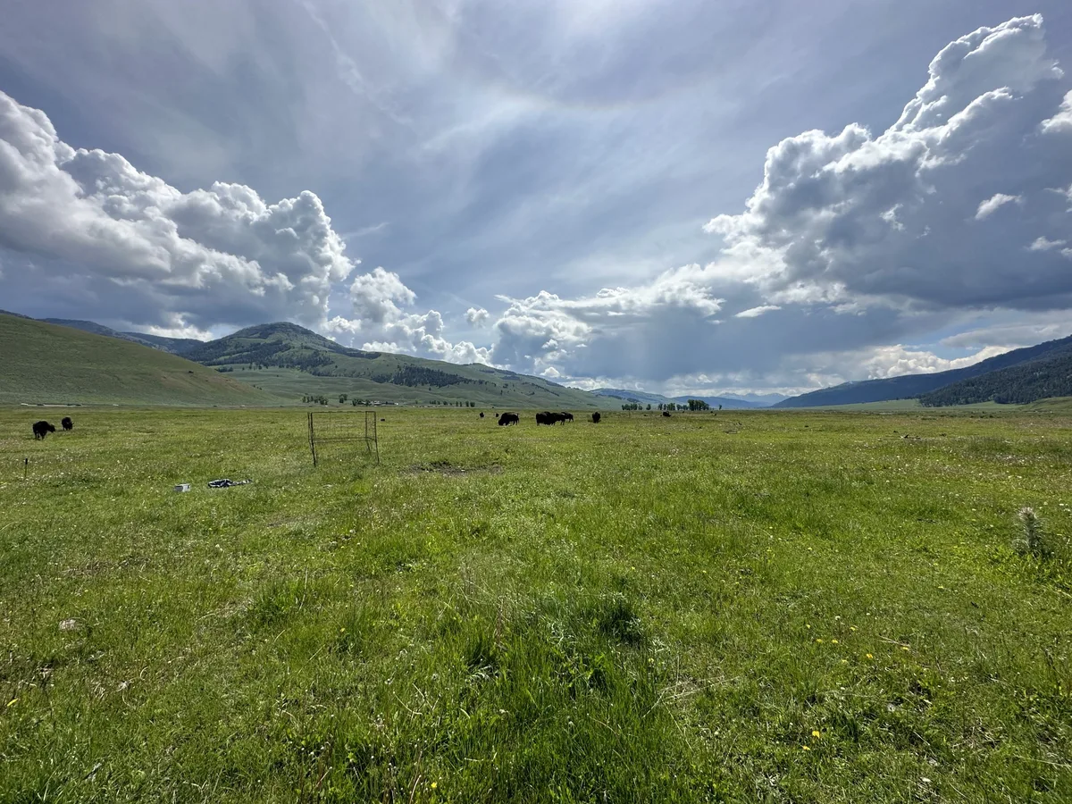 Lamar Valley, Yellowstone
