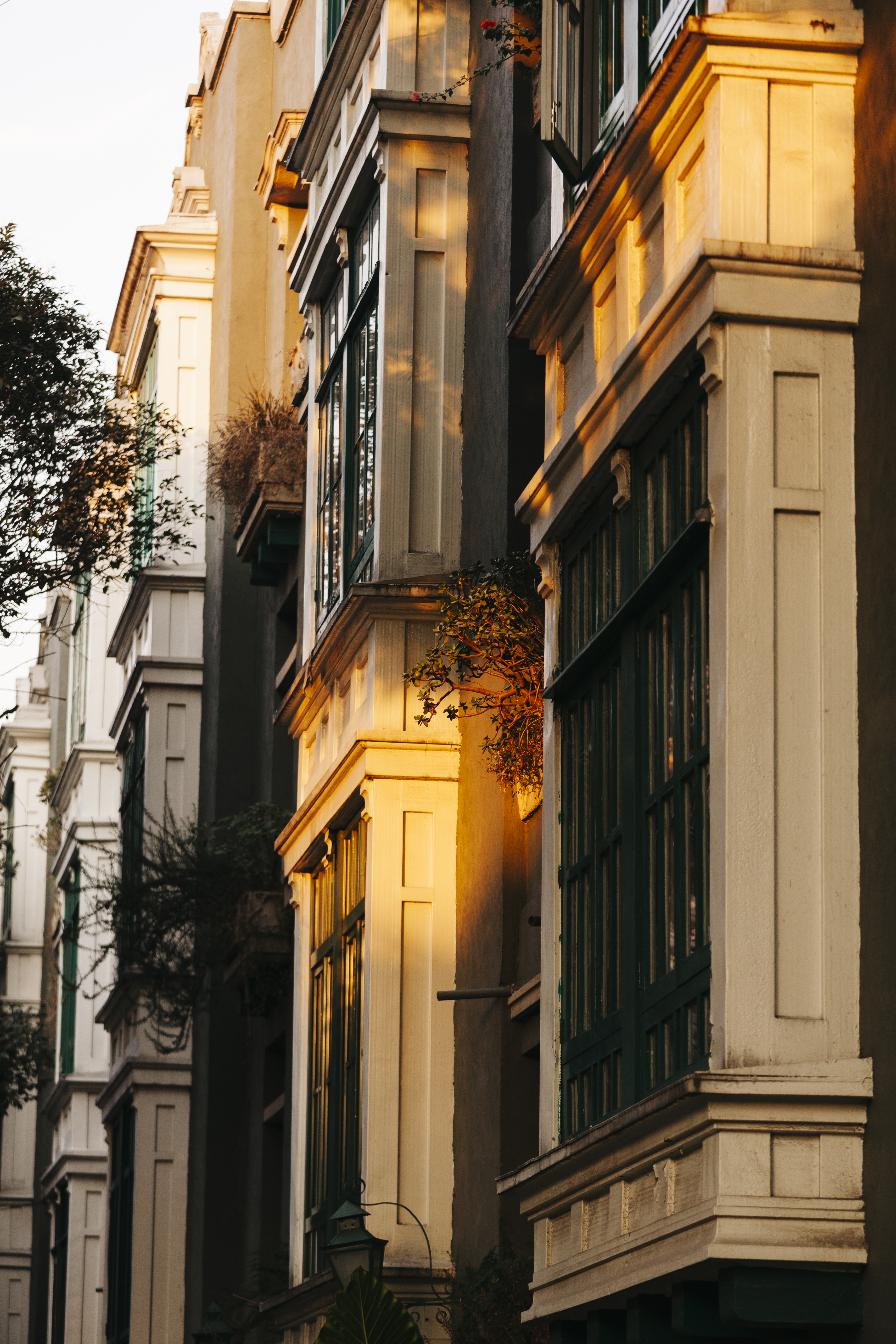 A series of sun-lit street photography shots of Mexico City portray a vibrant destination characterized by contrasting architectural styles, tropical plants, and bright colors.