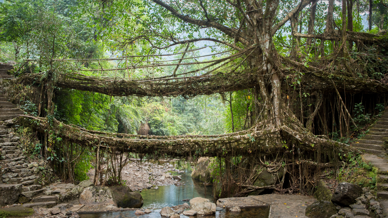 Mawlynnong Meghalaya