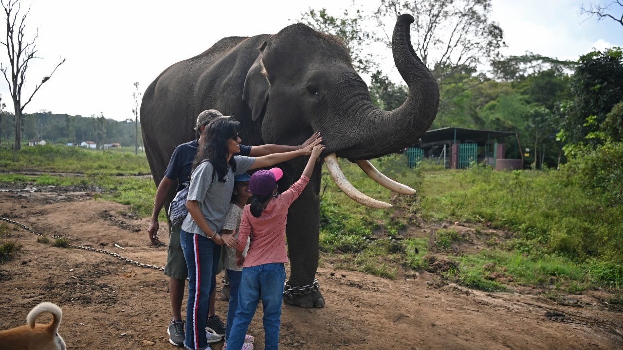 Coorg Karnataka
