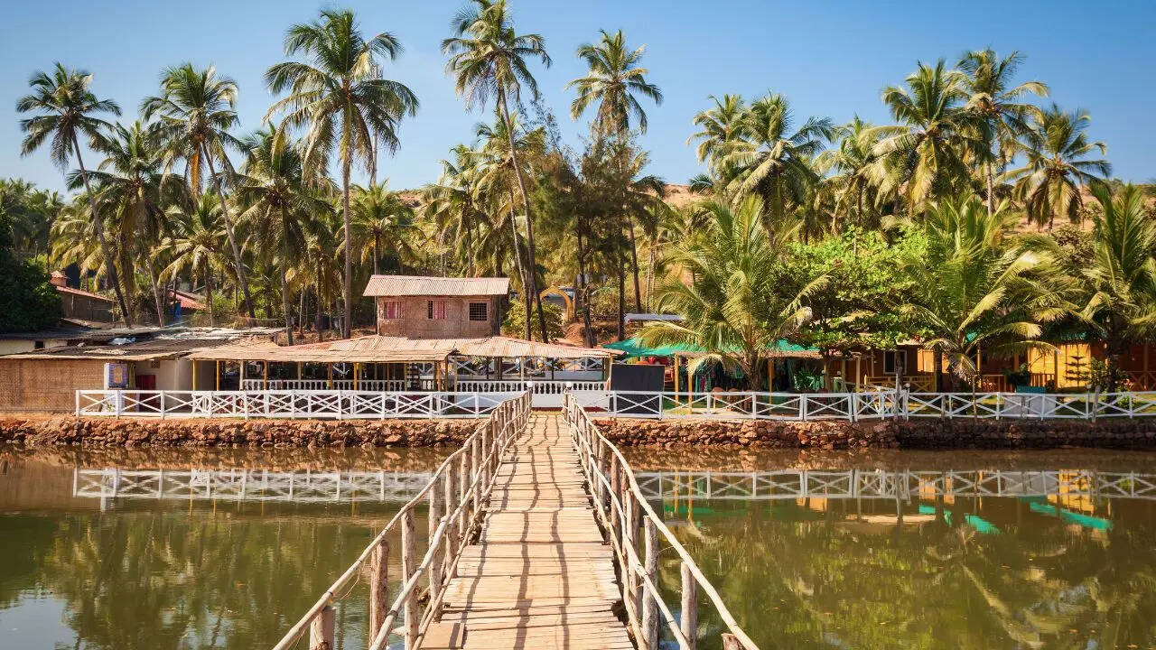 Mandrem North Goa