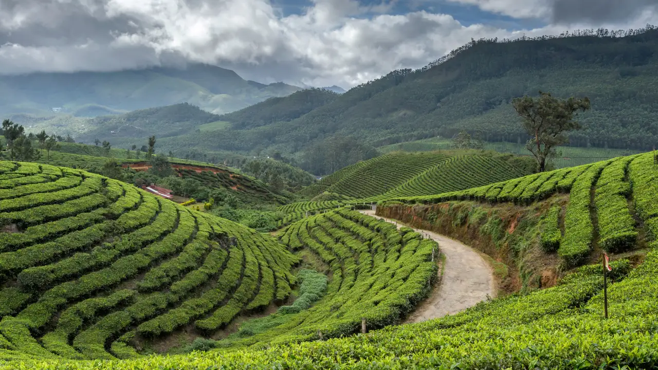 Keralas Green Trails