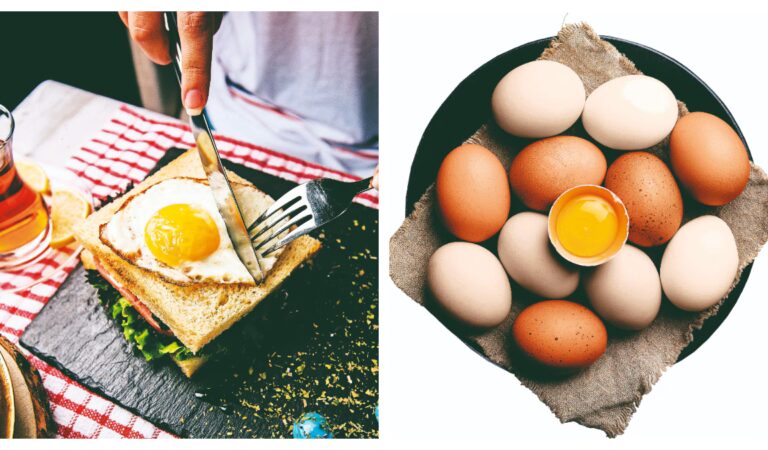 The underrated superfood: Why India must embrace the humble egg for better heart health – Life News