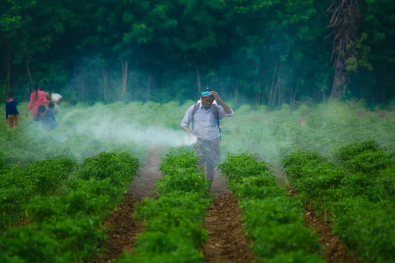 Farmer applying pesticides