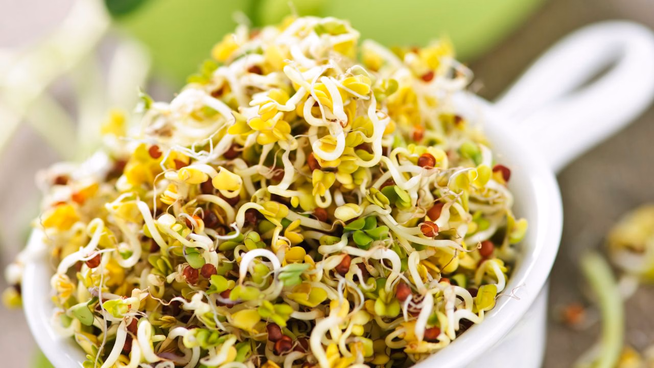 Sprout chaat, made from sprouted lentils, raw vegetables, and aromatic spices, is a flavorful and healthy Indian snack. (Photo Source: Canva)