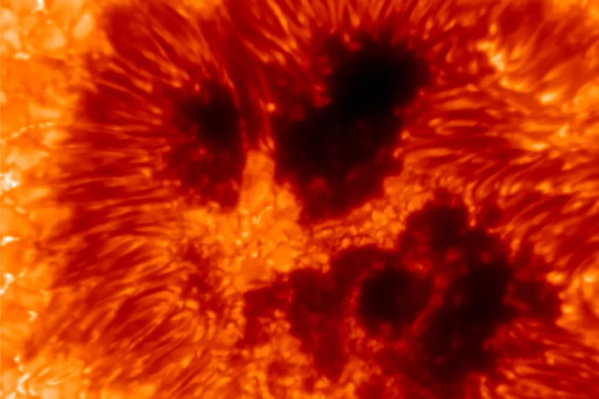 Narrowband image of sunspots on the Sun captured by the Daniel K. Inouye Solar Telescope during its Visible Tunable Filter instrument's first light, released 24 April 2025. Credit: VTF/KIS/NSF/NSO/AURA