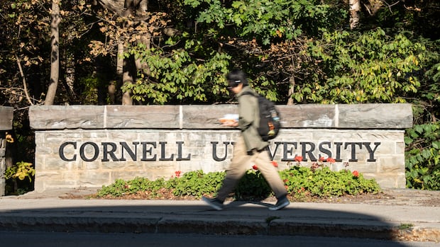 Woman at centre of Cornell gang-rape case was ‘misled’ about investigation, lawyer says Woman at centre of Cornell gang-rape case was 'misled' about investigation, lawyer says