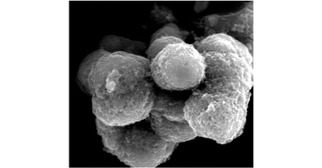 XBM USA and SiCAM Technologies Collaborate to Advance Next-Generation Silicon-Sulfur Battery Technology