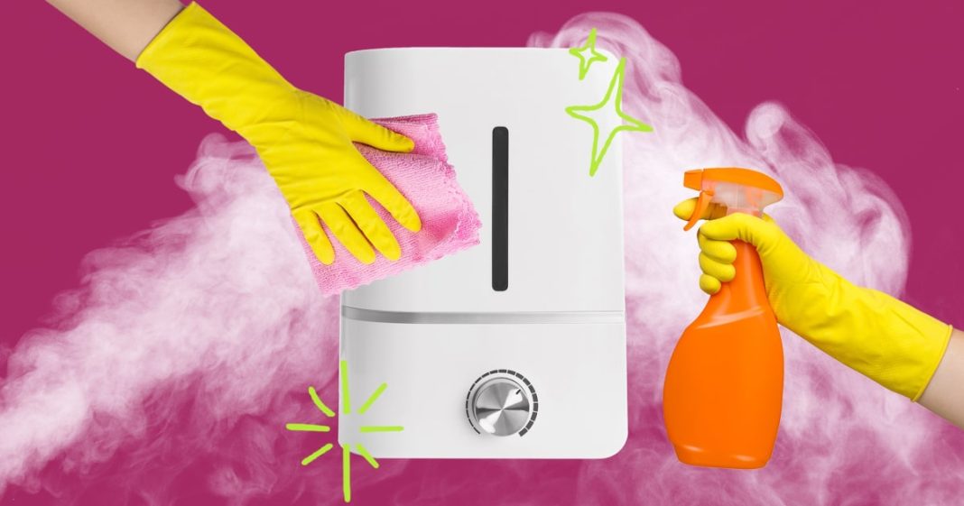 How To Clean A Humidifier And Prevent Mold, According To Experts How To Clean A Humidifier And Prevent Mold, According To Experts