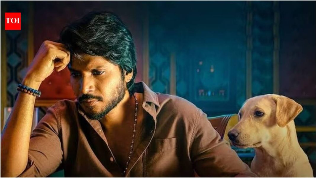 ‘Sigma’ box office collection day 7: Jason Sanjay’s film earns Rs 8.27 cr India net; Soori’s film reaches Rs 100.58 cr | Tamil Movie News 'Sigma' box office collection day 7: Jason Sanjay's film earns Rs 8.27 cr India net; Soori's film reaches Rs 100.58 cr | Tamil Movie News