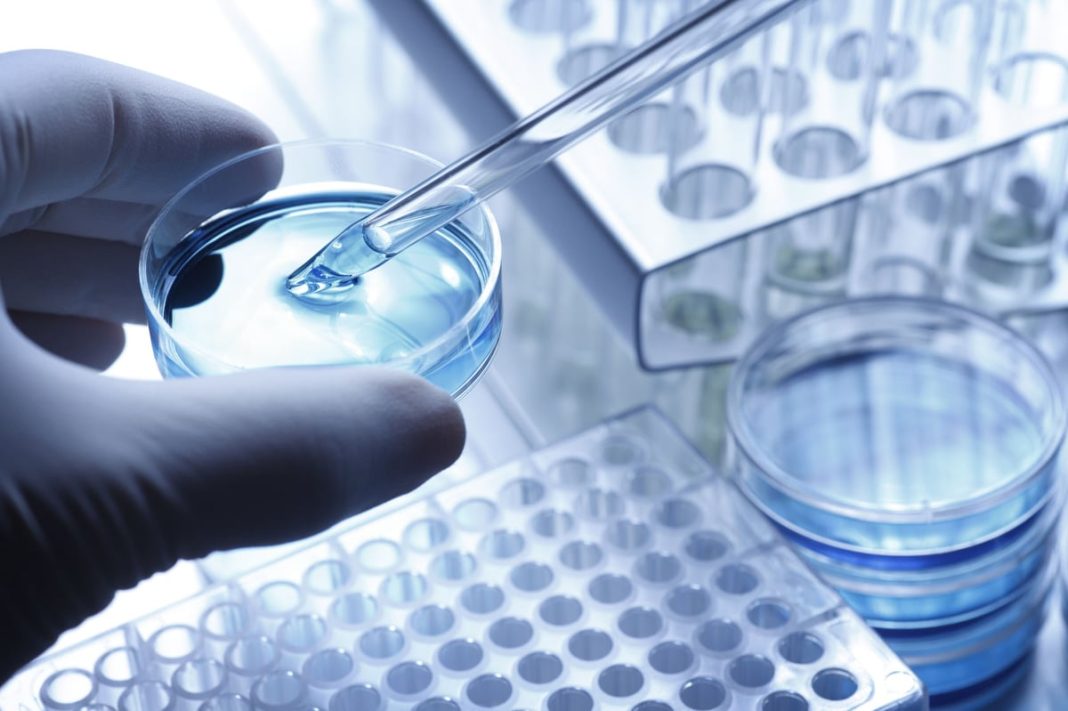 Citi Sees 60% Upside in CRISPR Therapeutics. Here’s What Has to Go Right. A biopharma lab technician is preparing a clinical trial sample.