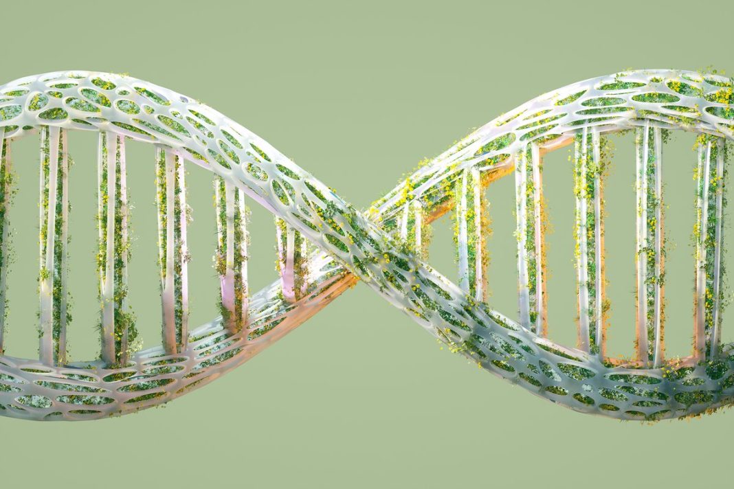 Claude just found a CRISPR-like DNA pattern, but even Anthropic’s scientists aren’t sure what it does Claude just found a CRISPR-like DNA pattern, but even Anthropic's scientists aren't sure what it does