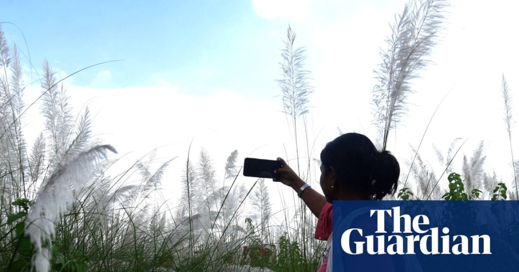 World Bank says ‘small AI’ could transform developing countries | AI (artificial intelligence) World Bank says ‘small AI’ could transform developing countries | AI (artificial intelligence)