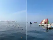 WATCH | iPhones, luxury perfumes floating in Hormuz? Iranian fishermen make bizarre discovery