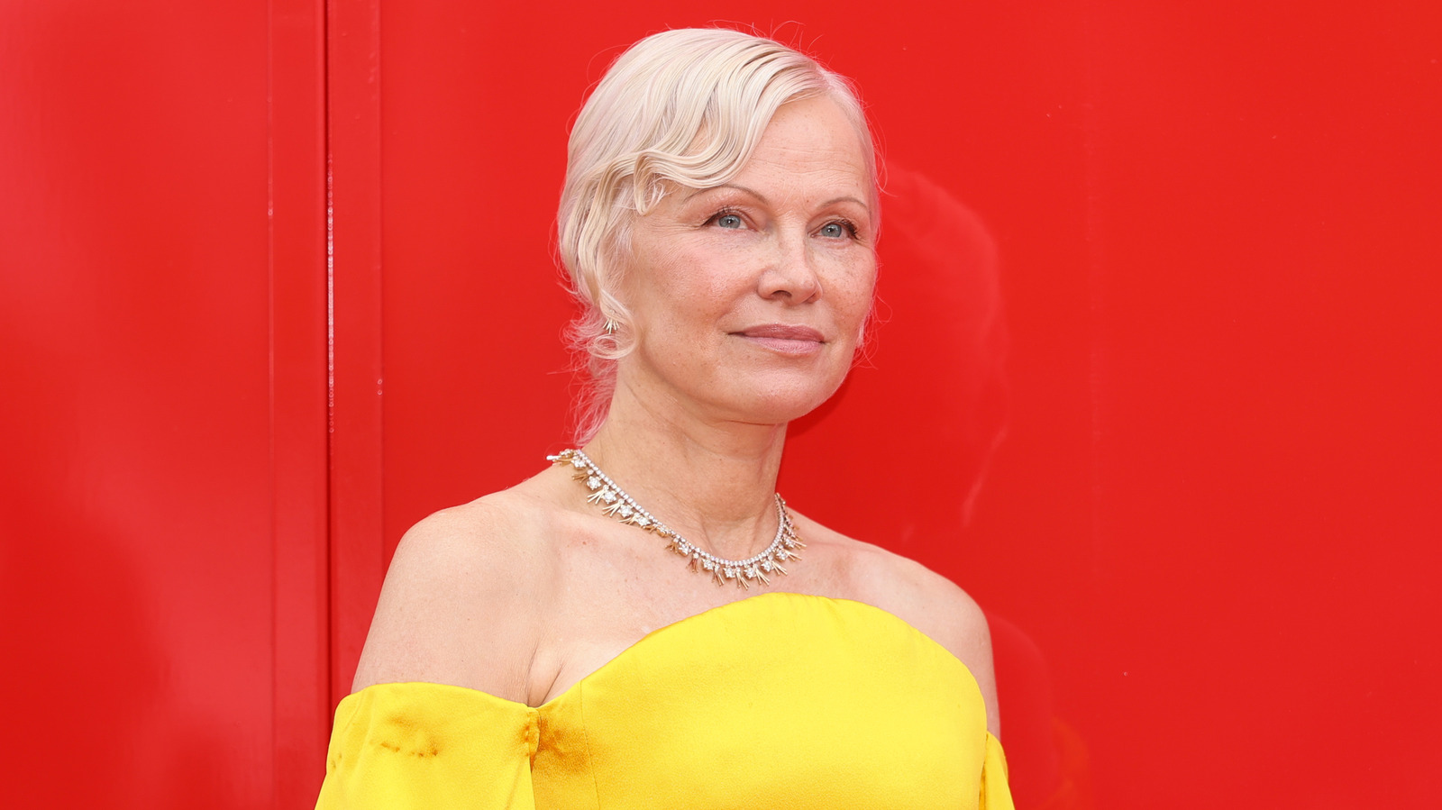 Not Just Pamela Anderson: 5 Celebrities Who Outlived A Prognosis Not Just Pamela Anderson: 5 Celebrities Who Outlived A Prognosis Of 10 Years Or Less