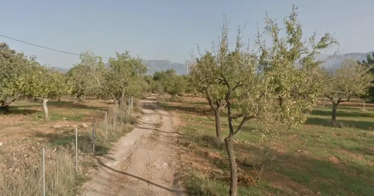 Another huge battery energy storage plant planned for Mallorca Another huge battery energy storage plant planned for Mallorca