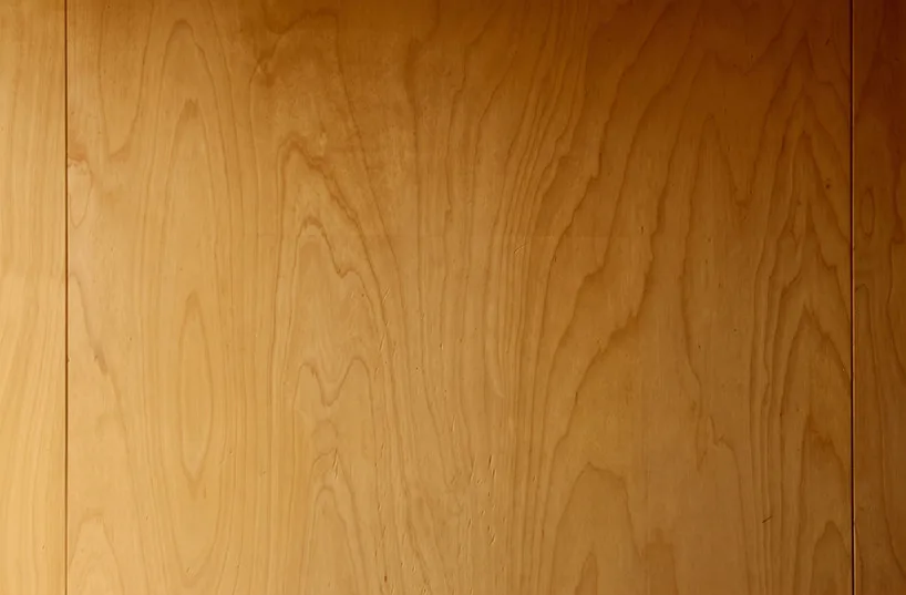 Innovative Birch Plywood Interior Transforms Shipping Container into Modern Micro-Cabin Birch plywood surfaces feature semi-matte finish enhancing natural wood grain.