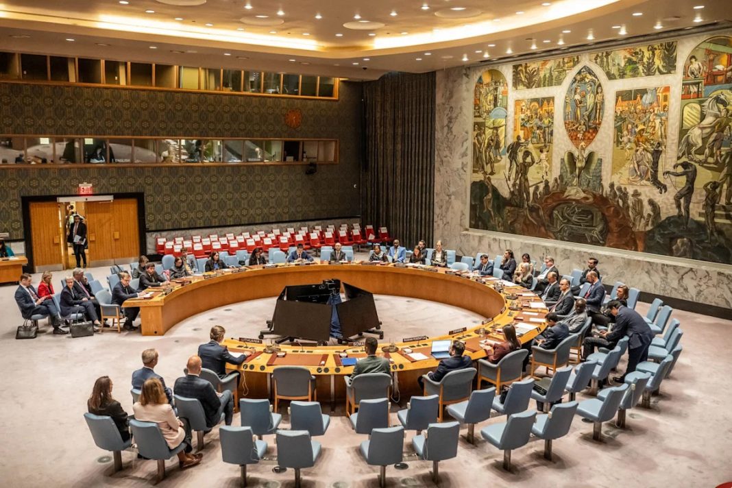 UN Security Council calls for probe into deadly drone strikes in Abyei UN Security Council calls for probe into deadly drone strikes in Abyei