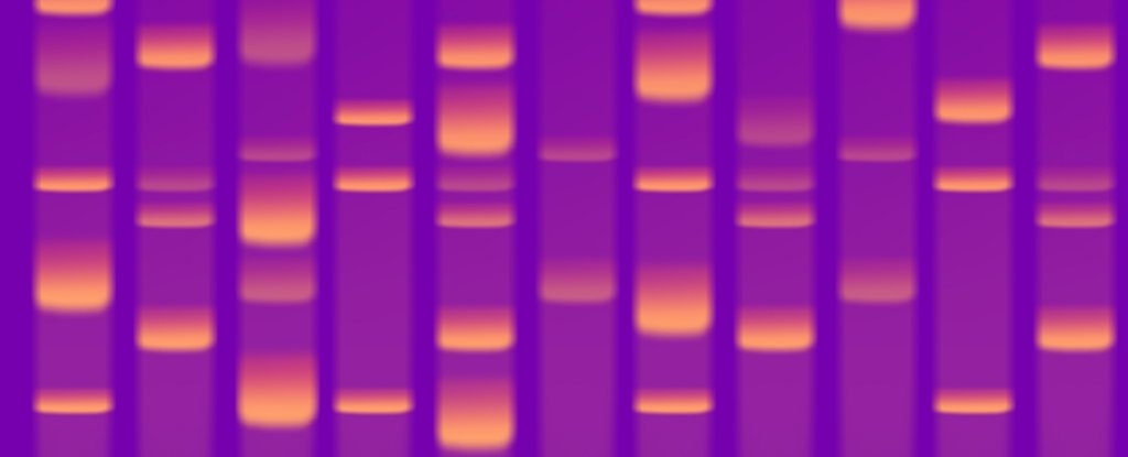 What Is CRISPR Gene Editing? : ScienceAlert What Is CRISPR Gene Editing? : ScienceAlert