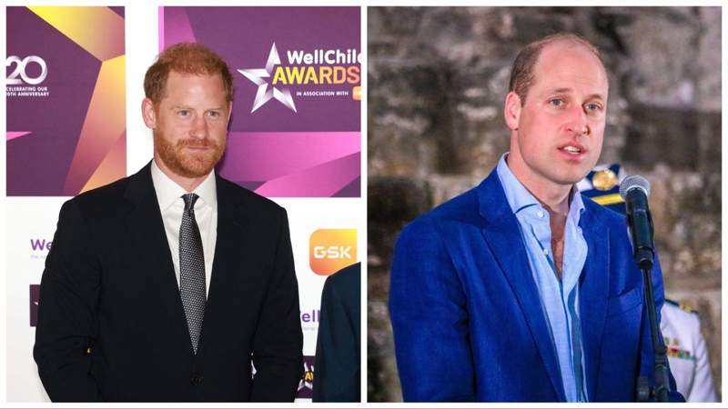Mike Tindall tried to get Prince Harry and Prince William in the same roomMEGA