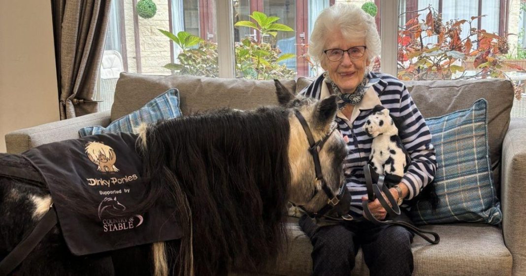Viral pony brings joy to Bupa care home in Cirencester