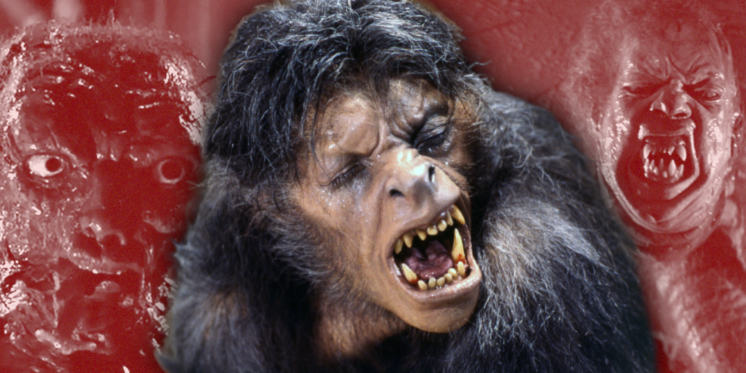 Nastiest Body Horror Transformations in Cinema, Ranked Nastiest Body Horror Transformations in Cinema, Ranked