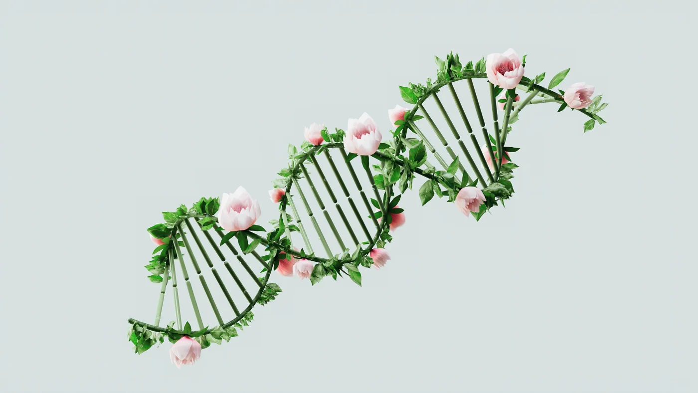 The Molecular Engine Behind CRISPR Cas9