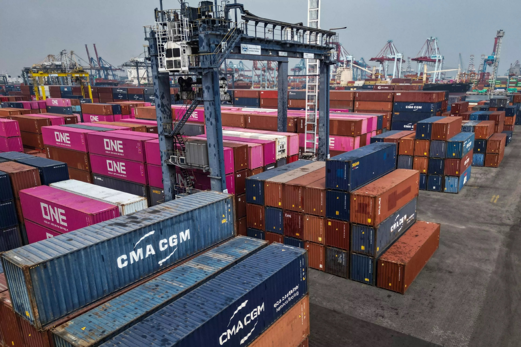 Rising ocean freight rates impact regional rice exports Rising ocean freight rates impact regional rice exports