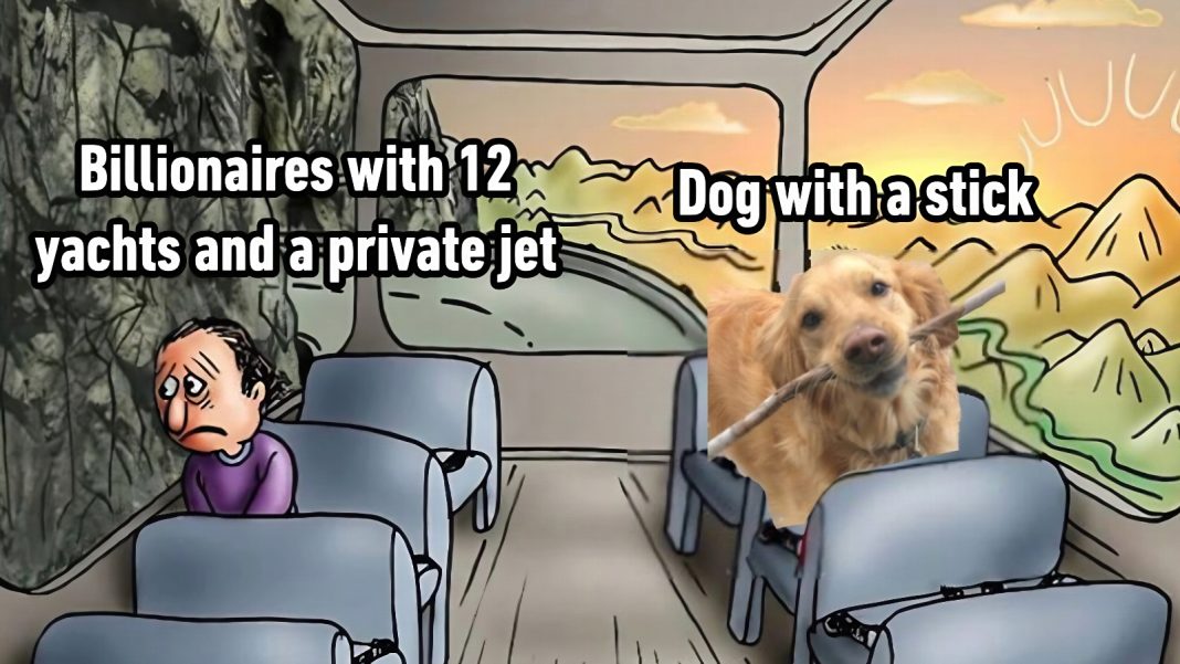 The 51 Best Memes On The Internet This Week You Need To See best meme of a dog with a stick